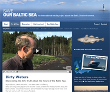 bsmap_webpage
