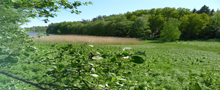 ekstrand