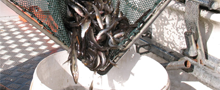 pikeperch_liten